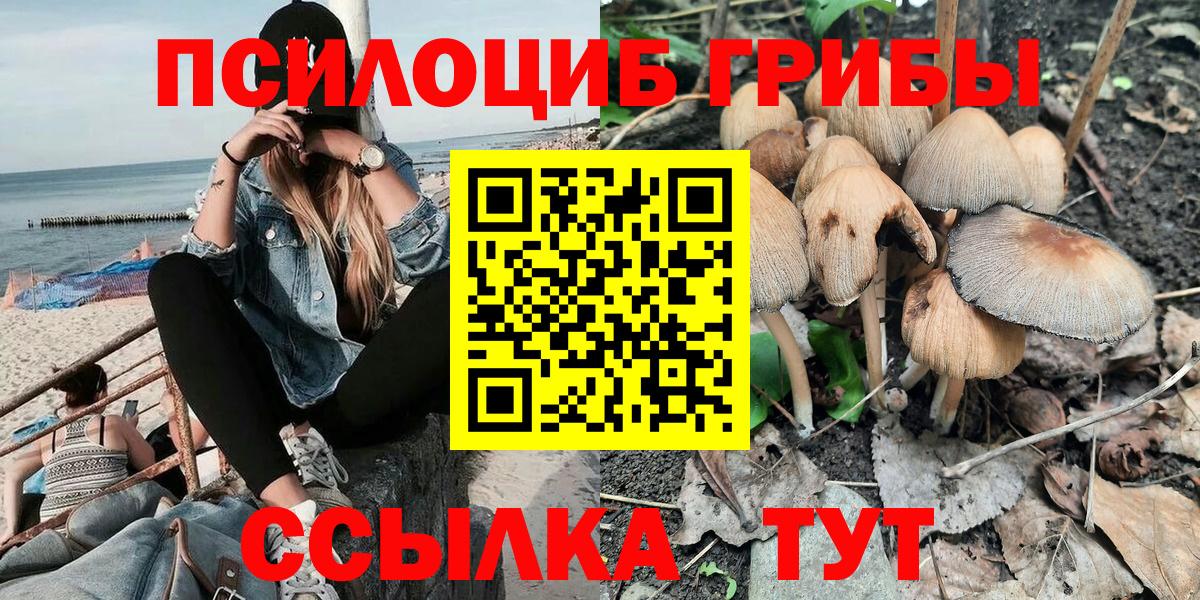 Псилоцибиновые грибы прущие грибы  Псилоцибиновые грибы Psilocybine cubensis  Вход с VPN  Ханты-Мансийск 